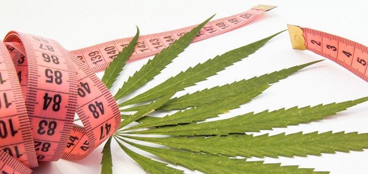 Start losing weight with Medical Marijuana Today!