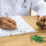 Medical Cannabis in Florida